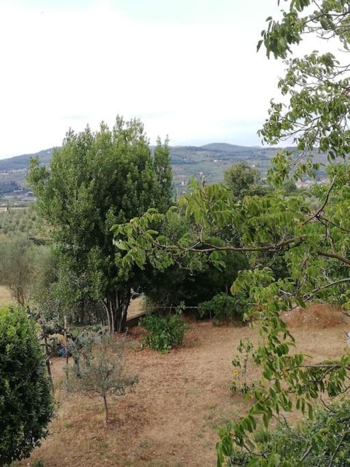 I Rosai Appartamento Sulle Colline Fiorentine Bagno a Ripoli Exteriér fotografie